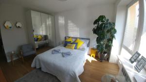 奥古斯图Apartament Centrum的一间卧室配有蓝色和黄色枕头的床