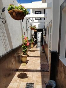 克雷塔罗Hotel Tres Sofias的楼边有盆栽的小巷