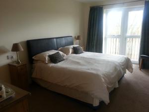 马基特德雷顿城堡宾馆的一间卧室设有一张大床和窗户
