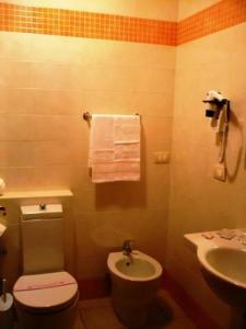 蒂勒尼亚佛罗里达伦尼亚酒店的浴室设有卫生间、水槽和毛巾