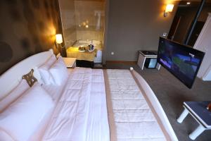巴统巴统斯普特尼克酒店的酒店客房设有一张大床和一台电视机。