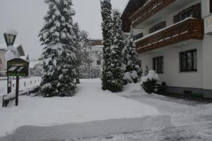冬天的Haus Fallesin