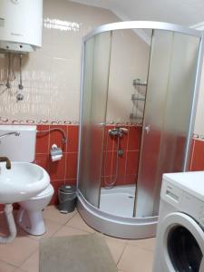 佩鲁恰茨Apartmani Jovanovic的带淋浴、卫生间和盥洗盆的浴室