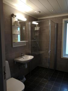 杜姆奥斯Dombåstun的一间带水槽、淋浴和卫生间的浴室