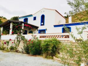 阿尔姆尼卡CASA RURAL DE ENSUEÑO的拥有蓝色和白色墙壁和鲜花的房子