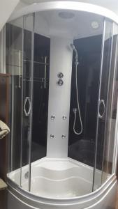 阿尔杰什河畔库尔泰亚Vila Curtea de Arges的浴室里设有玻璃门淋浴