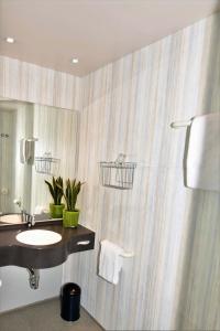 格尔林根斯图加特-格尔林根卓悦坦根斯酒店的一间带水槽和淋浴的浴室