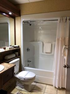 莱维斯Hotel L'Oie des neiges的带浴缸、卫生间和淋浴的浴室。
