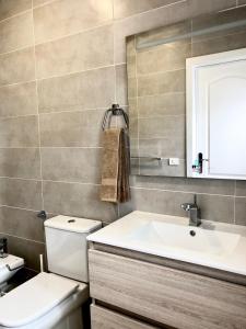圣克鲁斯-德特内里费Apartamento de la Candelaria I的一间带水槽、卫生间和镜子的浴室