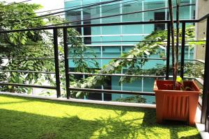 曼谷Live like a local in Ekkamai的建筑前一个装有篮子植物的阳台