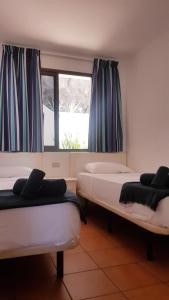 波多黎各以斯拉伯尼塔公寓式酒店的带窗户的客房内的两张床