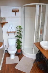 佩里格Joli appartement vue sur l'Eglise的浴室配有卫生间、淋浴和盥洗盆。