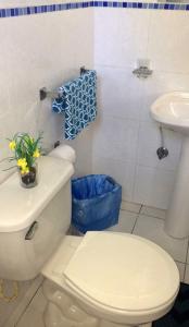 奥拉涅斯塔德Courtesy Apartments Aruba的白色的浴室设有卫生间和水槽。