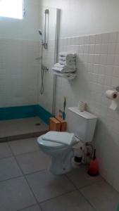 圣安娜Hotel-Restaurant La Dunette的一间带卫生间和淋浴的浴室
