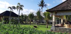希德门Pelangi Villas Sidemen的棕榈树庭院和房屋
