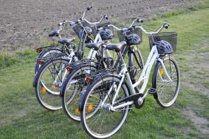 在海尔特贝尔加嘉德住宿加早餐旅馆内部或周边骑自行车