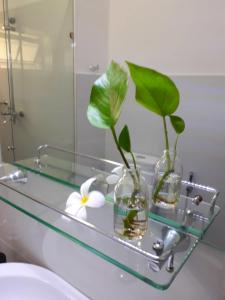 科伦坡“27”火焰树城市绿洲住宿加早餐旅馆的浴室设有两只玻璃花瓶和镜子