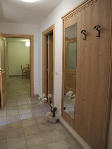 BedolloIl Cardo Trentino的一间设有木墙和一面镜子的墙壁客房