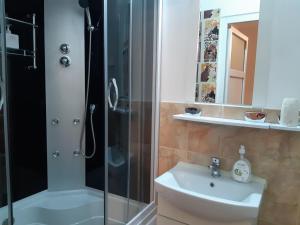 布拉索夫卡萨斯法托露伊广场公寓的带淋浴和盥洗盆的浴室