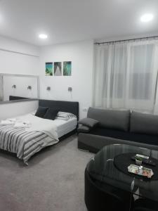 乌日策Apartment Centar的客厅配有床和沙发