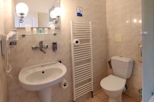 弗兰季谢克矿泉镇波希米亚酒店的浴室配有白色卫生间和盥洗盆。