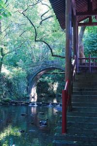 杭州山峦精品民宿的河上桥,河边有楼梯