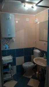 亚布拉纳茨Apartment Stinica 26 E的一间带卫生间和水槽的浴室