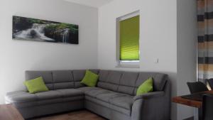 诺费尔登Im Hirzenbruch 1的客厅配有带绿色枕头的灰色沙发