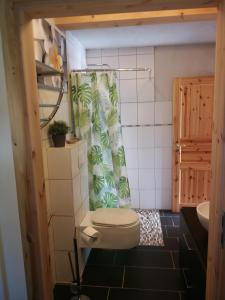 巴特拉斯费Wohnung im Schwedenhaus的一间带卫生间和淋浴帘的浴室
