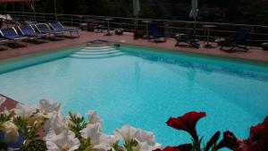 卡瓦德蒂雷尼Villa Fernanda的一个蓝色的海水和鲜花的大型游泳池