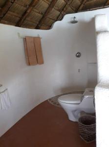 布桑加AL FARO Cosmio Hotel Palawan的浴室配有卫生间和墙上的毛巾