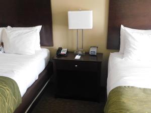 圣克莱尔斯维尔圣克莱斯维尔康福特茵酒店 的酒店客房设有两张床和床头灯。