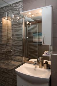 达鲁瓦尔Studio Apartman Ždral的一间带水槽、淋浴和镜子的浴室