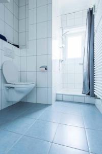 卢森堡2 Bedroom Penthouse in Gasperich的白色的浴室设有卫生间和淋浴。