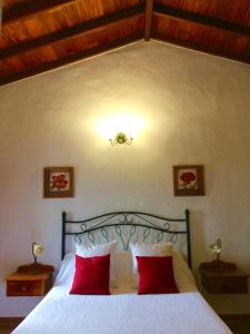 摩亚BELLA DORAMAS Casas Rurales Panchita & Millo的一间卧室配有一张带红色枕头的大床