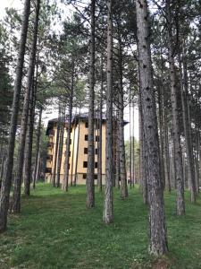 兹拉蒂博尔Zlatibor apartmani Jakovljevic的树木中间的一座建筑