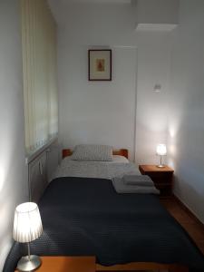 弗罗茨瓦夫普利兹奥葛洛斯塔洛家庭式酒店的一间卧室配有一张床和两张台灯。