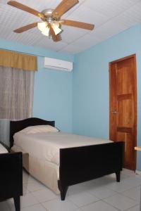 Puerto ArmuellesHostel Guayacan的一间卧室配有吊扇和一张床
