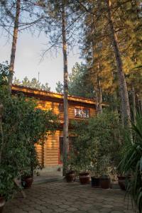 旧扎戈拉杰克家庭酒店的树林里的木小屋