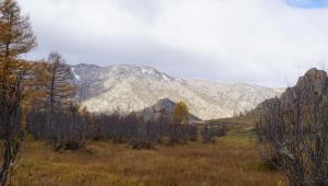 Nalayh我的蒙古环保蒙古包露营地的一片树木和山脉的田野