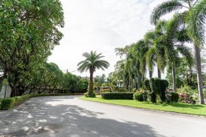 邦盛PN Gold Resort的一条在路边种有棕榈树的街道