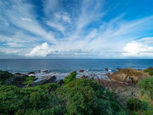 屋久岛THE HOTEL YAKUSHIMA ocean & forest的享有岩石和树木的海景