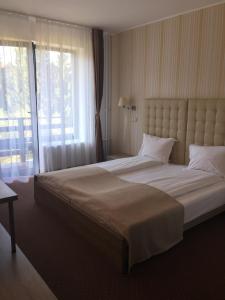 波亚纳布拉索夫Pensiunea Orizont的一张位于酒店客房的大床,设有大窗户