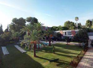非斯瓦卢比利斯酒店的享有棕榈树公园和游泳池的景色