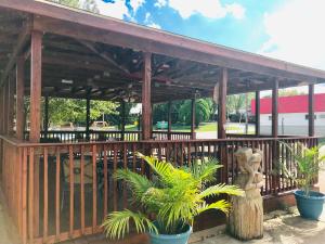 布兰森Hunter's Friend Resort Near Table Rock Lake的木凉亭,盆栽植物