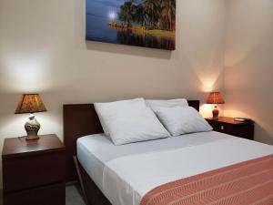 巴拿马城The Balboa Inn的一间卧室配有一张床、两个床头柜和两盏灯。