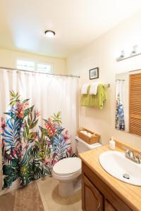 沃尔卡诺'Ama'u Lani Cottage的浴室设有淋浴帘、卫生间和水槽