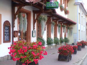 LibuňPenzion Restaurace u Helferů的花在建筑物前的街道