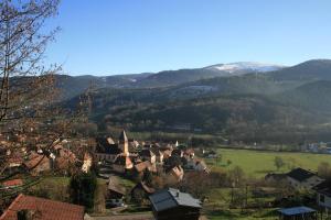 Breitenbach-Haut-RhinMaison d'Alsace的山地山谷中的小镇