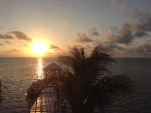 圣安德烈斯Haynes Cay View的日落前有棕榈树的码头
